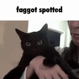1743338915729344