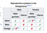 Omegaverse