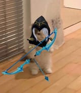 faster than my arrow i think not