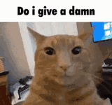1710861643885