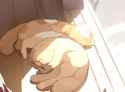 1654091471495_thumb.jpg