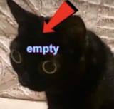1730893724451767