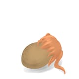 Potatfive