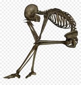 484-4848038_about-skeleton-sitting-png-transparent-png