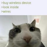 gkpd0qrbyb6c1