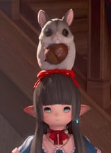 nut judgement
