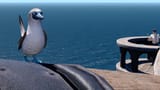 booby