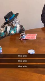 1735348502807822