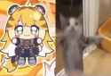 1729927034070283_thumb.jpg