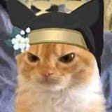 neko15