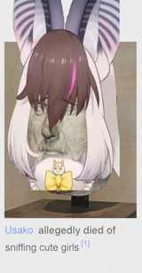 rip