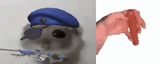 1744039051360238
