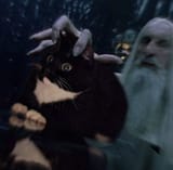 1741821743041737