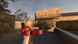 Leo guns