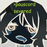 pauscord