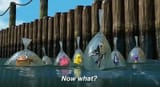 now_what