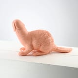 beaverpenis