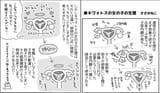 tamagopedia
