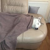 sleep