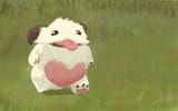 255