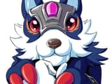 dog_closeup