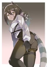 robin 199