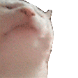 1753311516198026.gif