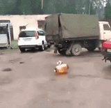 1750697082857708.gif