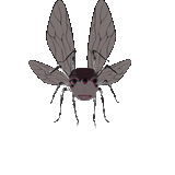1736188747604182