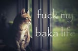 fuark