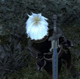 blonde patch