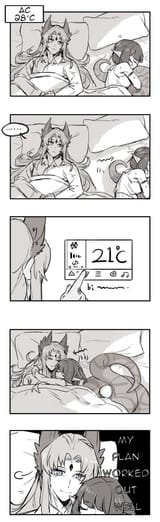 passenger&#039;s genius plan