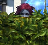peekingmoonie