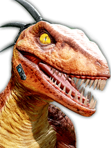 Portrait.riptor
