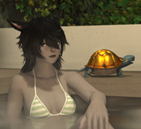 ffxiv_dx11_MS79siY2Np