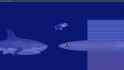 shark explode_thumb.jpg