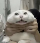 1705817151027418