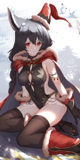 nier (santa)