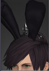 bunny chief crown