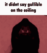 it-says-gullible-on-the-ceiling-it-didnt-say-gullible-on-the-ceiling