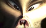 perfectwolrd_face