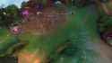 shaco_thumb.jpg