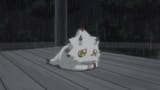 sad gamma