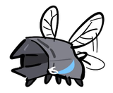 fly doctor