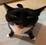 1742947525375134