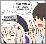 FUCKING COMMANDER