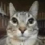 1724531551624092