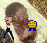 rottenbabynigger