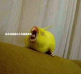 aaaaaaaaaaaaa
