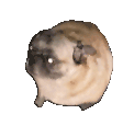 1746748675048295